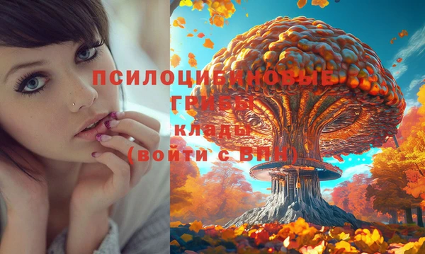 круглые Алексин