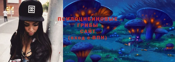 МДПВ Алзамай